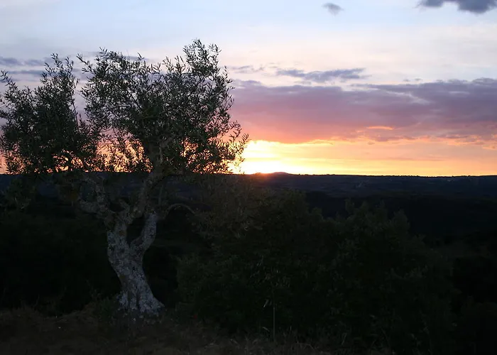 Rural La Enoteca Del Marques